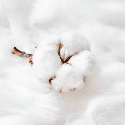 Cotton Weighted Blanket Machine Washable Luna Luna